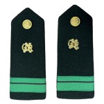 Verde(902)