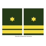 Verde(907)
