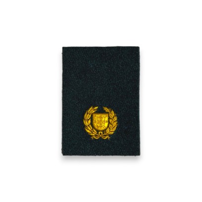 Dist. de Sargento-ajudante para polo