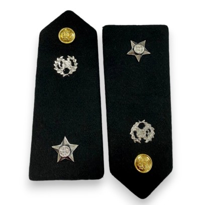 Platinas para Brigadeiro-general
